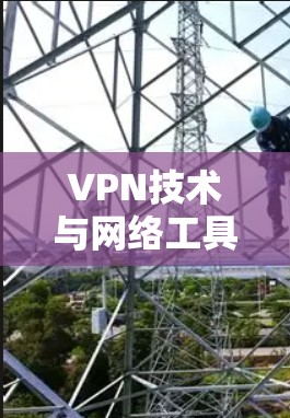 VPN技术与网络工具开发指南 VPN技术与网络工具开发指南