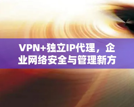 VPN+独立IP代理,企业网络安全与管理新方案 VPN+独立IP代理,企业网络安全与管理新方案