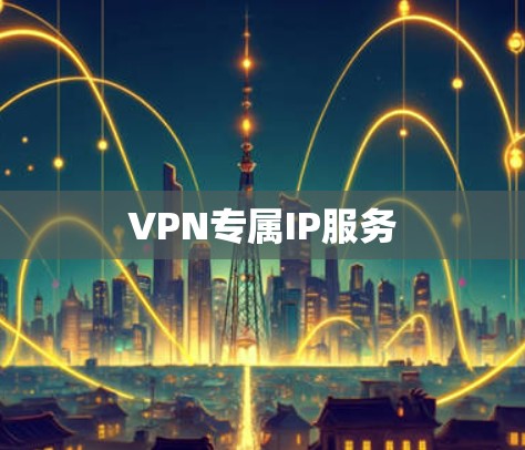 VPN专属IP服务