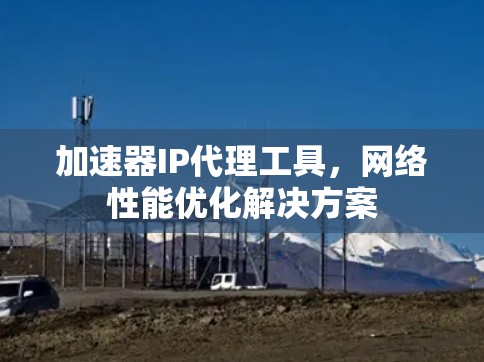加速器IP代理工具，网络性能优化解决方案