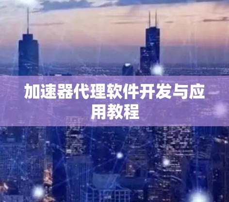 加速器代理软件开发与应用教程
