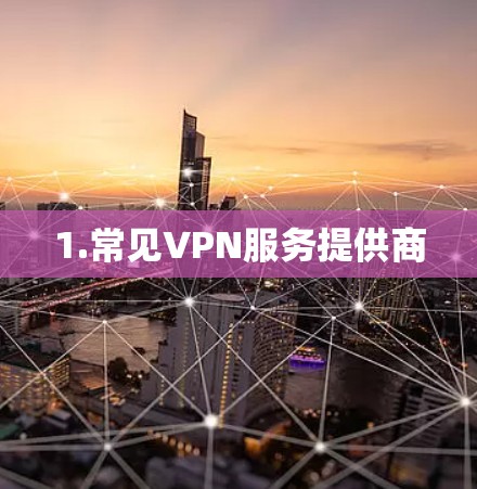 1.常见VPN服务提供商 1.常见VPN服务提供商