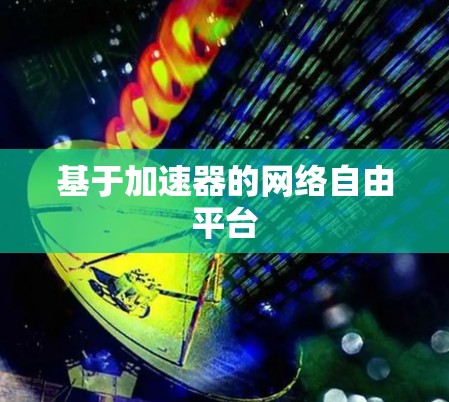 基于加速器的网络自由平台 基于加速器的网络自由平台