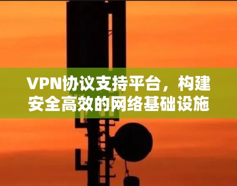 VPN协议支持平台，构建安全高效的网络基础设施