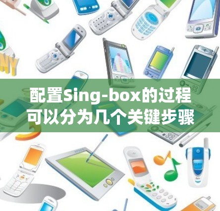 配置Sing-box的过程可以分为几个关键步骤，确保每个环节都正确完成，以实现最佳的音频效果。以下是详细的步骤指南