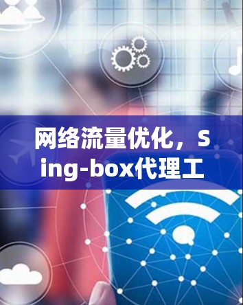 网络流量优化,Sing-box代理工具的应用与性能分析 网络流量优化,Sing-box代理工具的应用与性能分析