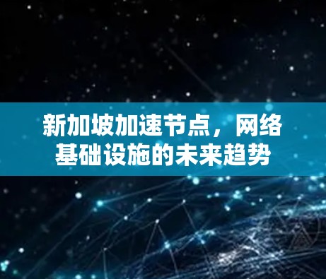 新加坡加速节点,网络基础设施的未来趋势 新加坡加速节点,网络基础设施的未来趋势