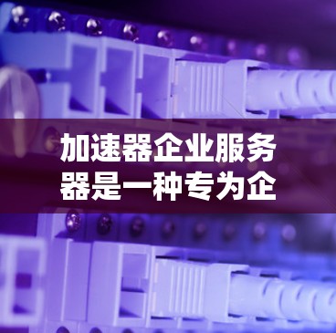 加速器企业服务器是一种专为企业设计的高性能计算和网络设备，旨在通过优化资源配置和技术手段，显著提升服务器的处理能力和响应速度。以下是对加速器企业服务器的详细分析