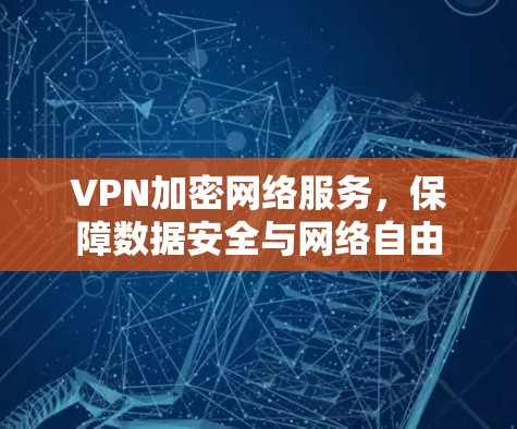 VPN加密网络服务,保障数据安全与网络自由 VPN加密网络服务,保障数据安全与网络自由