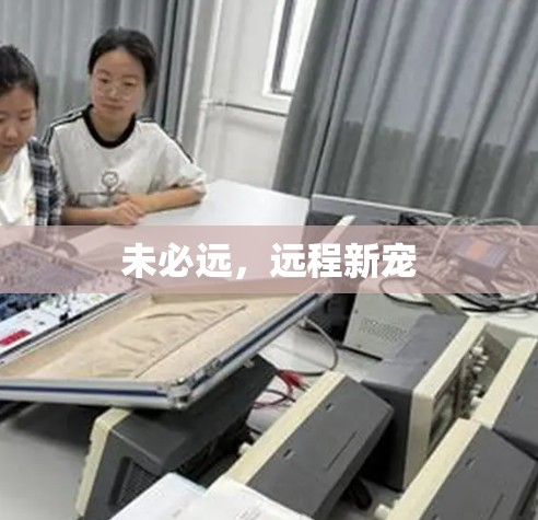 未必远,远程新宠 未必远,远程新宠