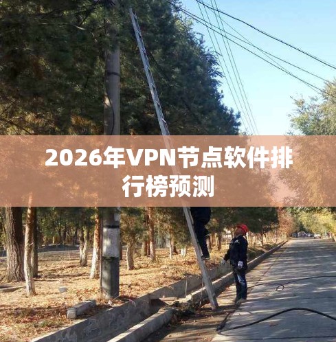 2026年VPN节点软件排行榜预测 2026年VPN节点软件排行榜预测