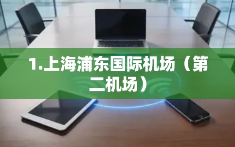 1.上海浦东国际机场(第二机场) 1.上海浦东国际机场(第二机场)