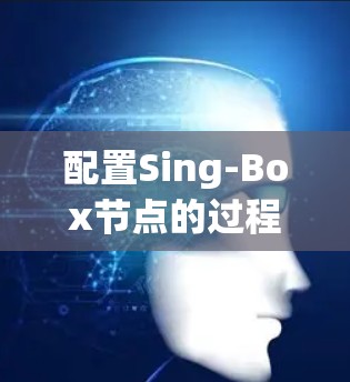 配置Sing-Box节点的过程可以分为几个关键步骤,确保你能够顺利完成并充分利用其功能。以下是详细的步骤指南 配置Sing-Box节点的过程可以分为几个关键步骤,确保你能够顺利完成并充分利用其功能。以下是详细的步骤指南