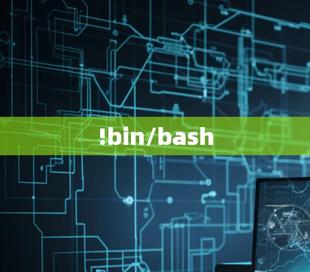 !bin/bash !bin/bash