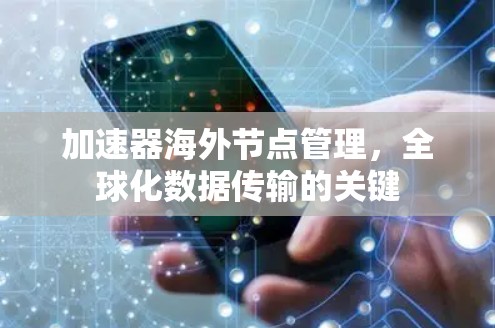加速器海外节点管理,全球化数据传输的关键 加速器海外节点管理,全球化数据传输的关键