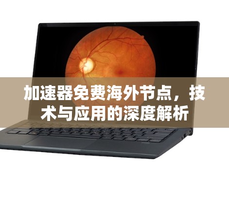 加速器免费海外节点，技术与应用的深度解析
