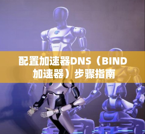 配置加速器DNS(BIND 加速器)步骤指南 配置加速器DNS(BIND 加速器)步骤指南