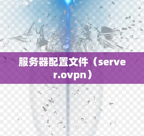 服务器配置文件(server.ovpn) 服务器配置文件(server.ovpn)