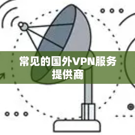常见的国外VPN服务提供商 常见的国外VPN服务提供商