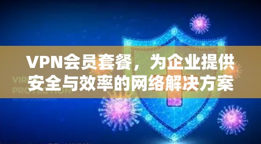 VPN会员套餐,为企业提供安全与效率的网络解决方案 VPN会员套餐,为企业提供安全与效率的网络解决方案