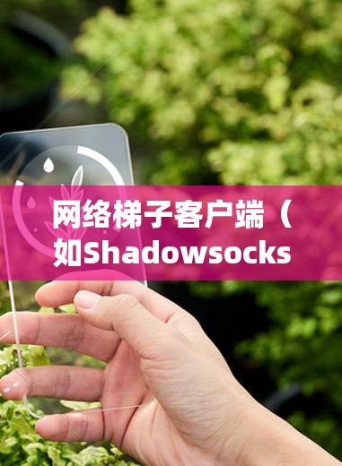 网络梯子客户端(如Shadowsocks)是一种工具,帮助用户绕过网络限制访问互联网。以下是详细的解决方法 网络梯子客户端(如Shadowsocks)是一种工具,帮助用户绕过网络限制访问互联网。以下是详细的解决方法
