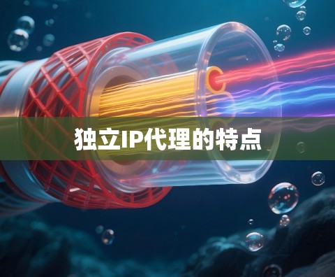 独立IP代理的特点 独立IP代理的特点