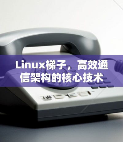 Linux梯子,高效通信架构的核心技术应用 Linux梯子,高效通信架构的核心技术应用