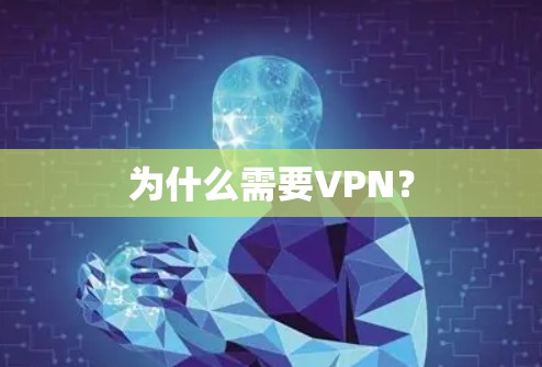 为什么需要VPN? 为什么需要VPN?