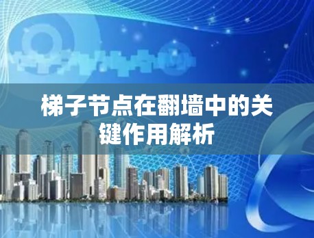 梯子节点在翻墙中的关键作用解析 梯子节点在翻墙中的关键作用解析