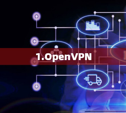 1.OpenVPN