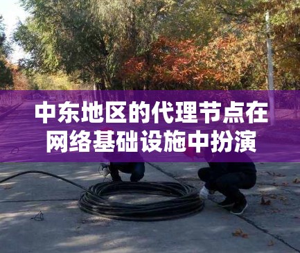 中东地区的代理节点在网络基础设施中扮演着重要角色,主要用于优化数据传输和网络连接。以下是对中东代理节点的详细分析 中东地区的代理节点在网络基础设施中扮演着重要角色,主要用于优化数据传输和网络连接。以下是对中东代理节点的详细分析