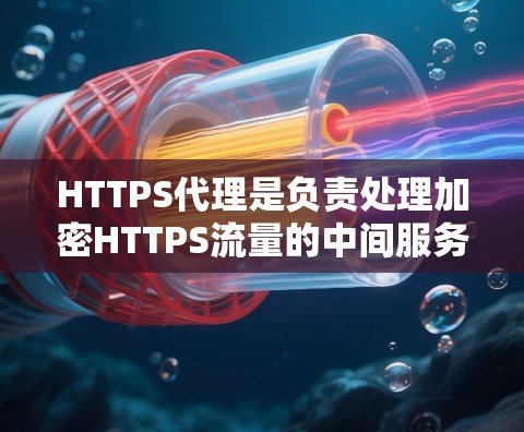 HTTPS代理是负责处理加密HTTPS流量的中间服务器，确保数据传输的安全性和加密。以下是对HTTPS代理的详细分析
