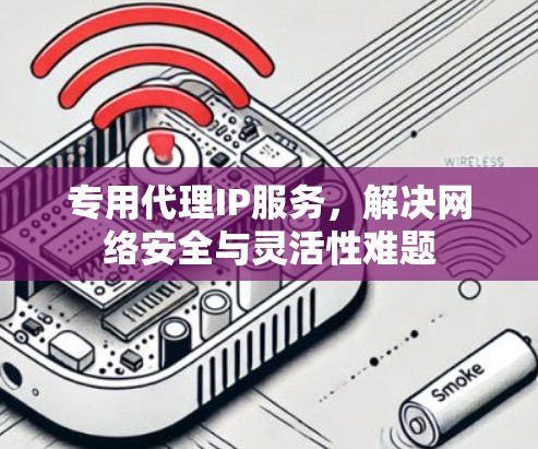 专用代理IP服务,解决网络安全与灵活性难题 专用代理IP服务,解决网络安全与灵活性难题