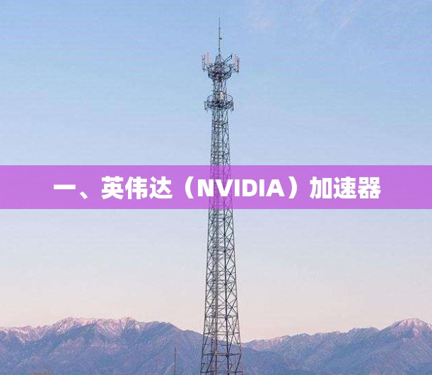 一、英伟达(NVIDIA)加速器 一、英伟达(NVIDIA)加速器