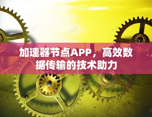 加速器节点APP,高效数据传输的技术助力 加速器节点APP,高效数据传输的技术助力