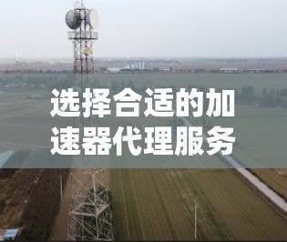 选择合适的加速器代理服务是一个复杂的过程，需要综合考虑多个因素。以下是针对您的需求整理的建议和步骤