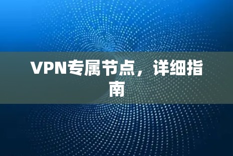 VPN专属节点，详细指南