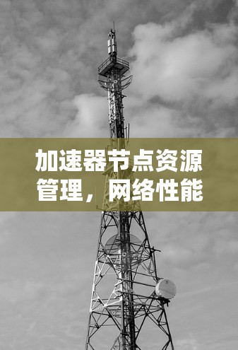 加速器节点资源管理，网络性能优化的关键