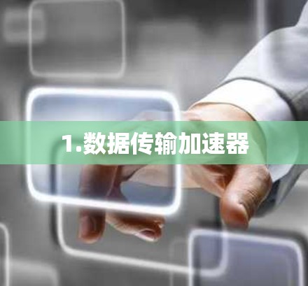 1.数据传输加速器 1.数据传输加速器
