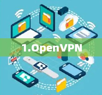 1.OpenVPN 1.OpenVPN