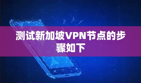 测试新加坡VPN节点的步骤如下 测试新加坡VPN节点的步骤如下