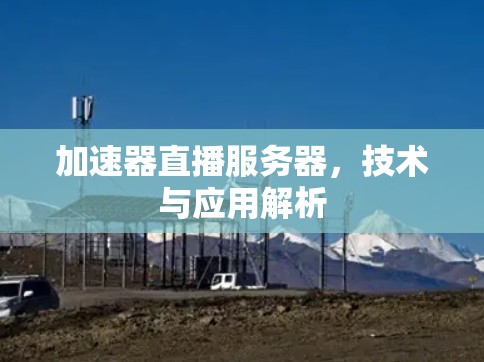 加速器直播服务器,技术与应用解析 加速器直播服务器,技术与应用解析