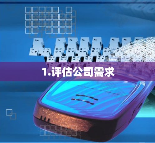1.评估公司需求 1.评估公司需求