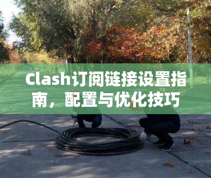 Clash订阅链接设置指南，配置与优化技巧