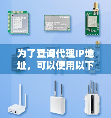 为了查询代理IP地址，可以使用以下步骤