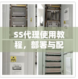 SS代理使用教程，部署与配置指南