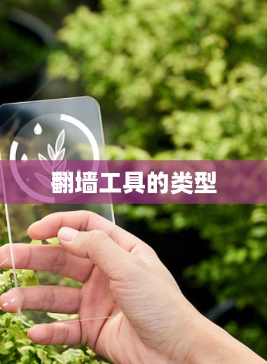 翻墙工具的类型 翻墙工具的类型