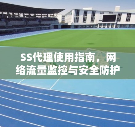 SS代理使用指南，网络流量监控与安全防护