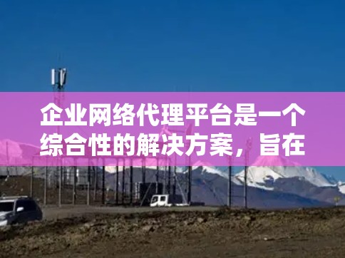 企业网络代理平台是一个综合性的解决方案，旨在帮助企业管理和保护其网络资源。以下是对该平台的详细分析和总结
