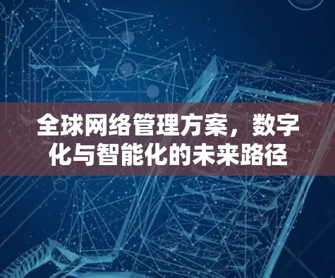 全球网络管理方案,数字化与智能化的未来路径